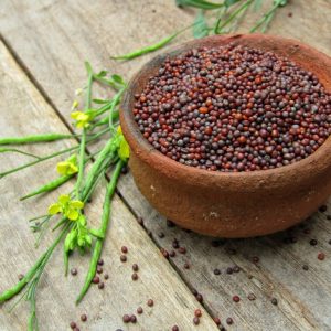 Hybrid Mustard Seed