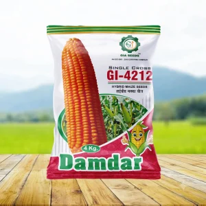 Damdar
