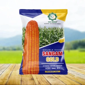 Sangam Gold